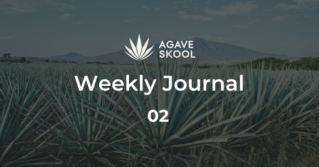 Weekly Journal 2 - AGAVESKOOL