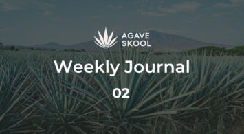 AGAVESKOOL Weekly Journal: January 13–19, 2025