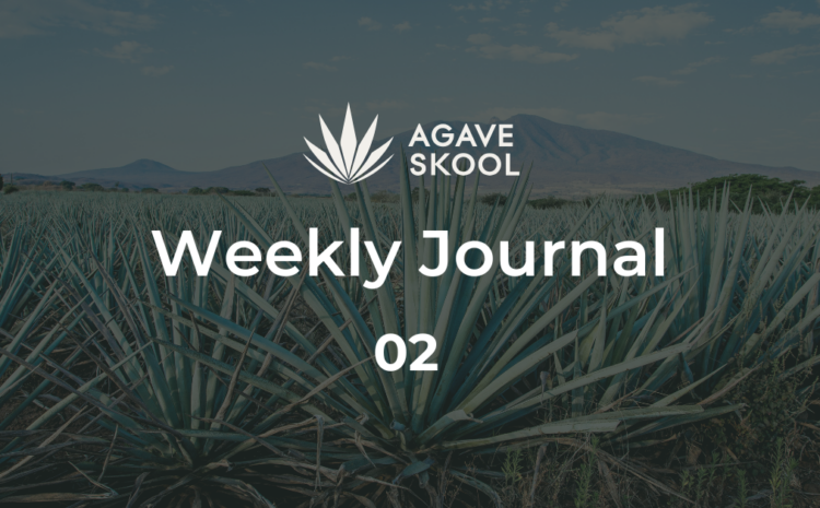 Weekly Journal 2 - AGAVESKOOL