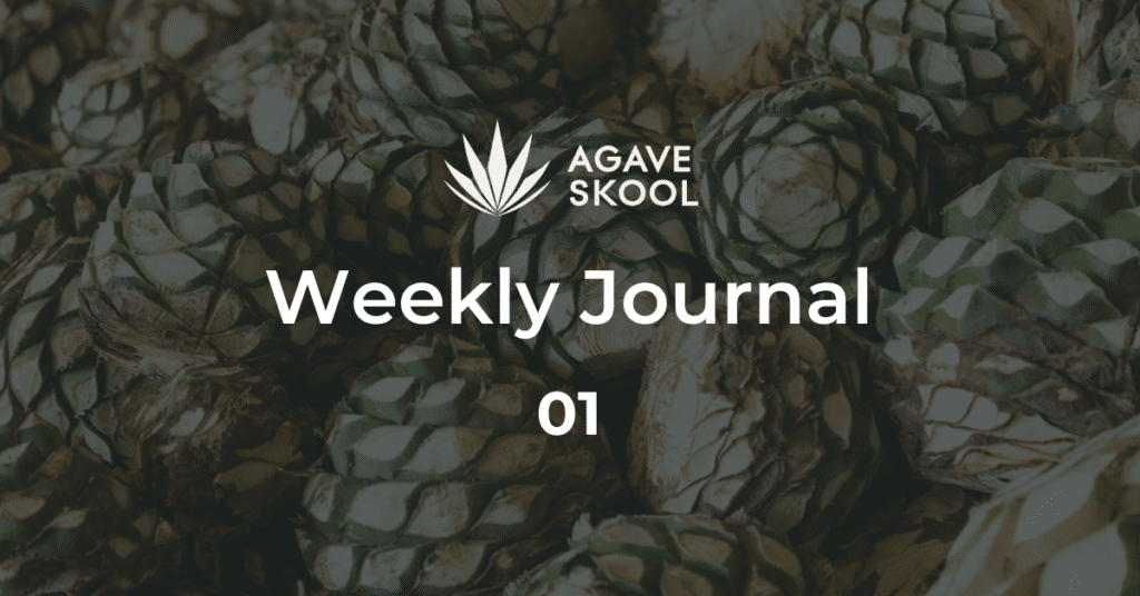 AGAVESKOOL Weekly Journal: January 5–12, 2025