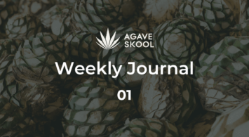 AGAVESKOOL Weekly Journal: January 5–12, 2025