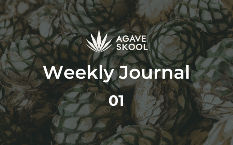 Weekly Journal 1 - AGAVESKOOL